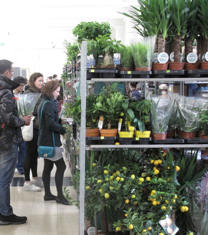 Plant Heaven at UCL