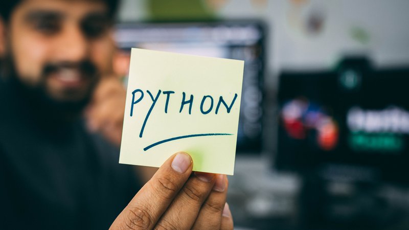 piramol blog_python.jpg