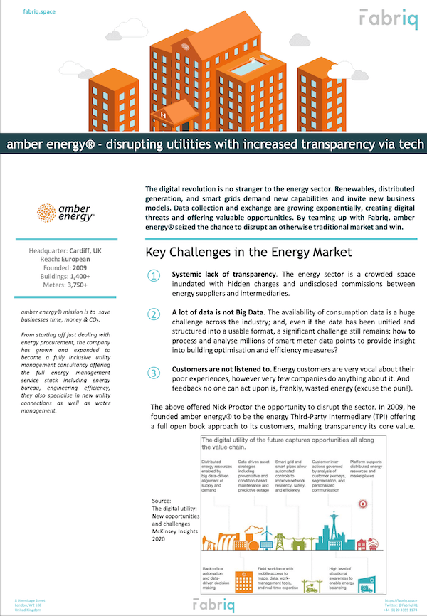 Amber Energy Case Study